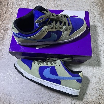 Nike SB Dunk Low Pro ACG Celadon BQ6817-301 Mens Size 10.5 Great Condition