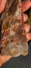 Christmas tree seam plume agate calico mountains Cabbing 1 lb 10 oz  — photo 10