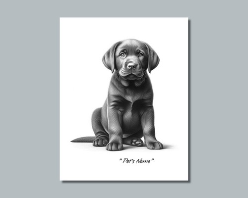 Personalized BLACK Lab LABRADOR Puppy Pet Photo DOG NAME Picture 8x10 11x14 P2 - Picture 1 of 10
