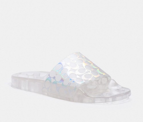 coach translucent slides