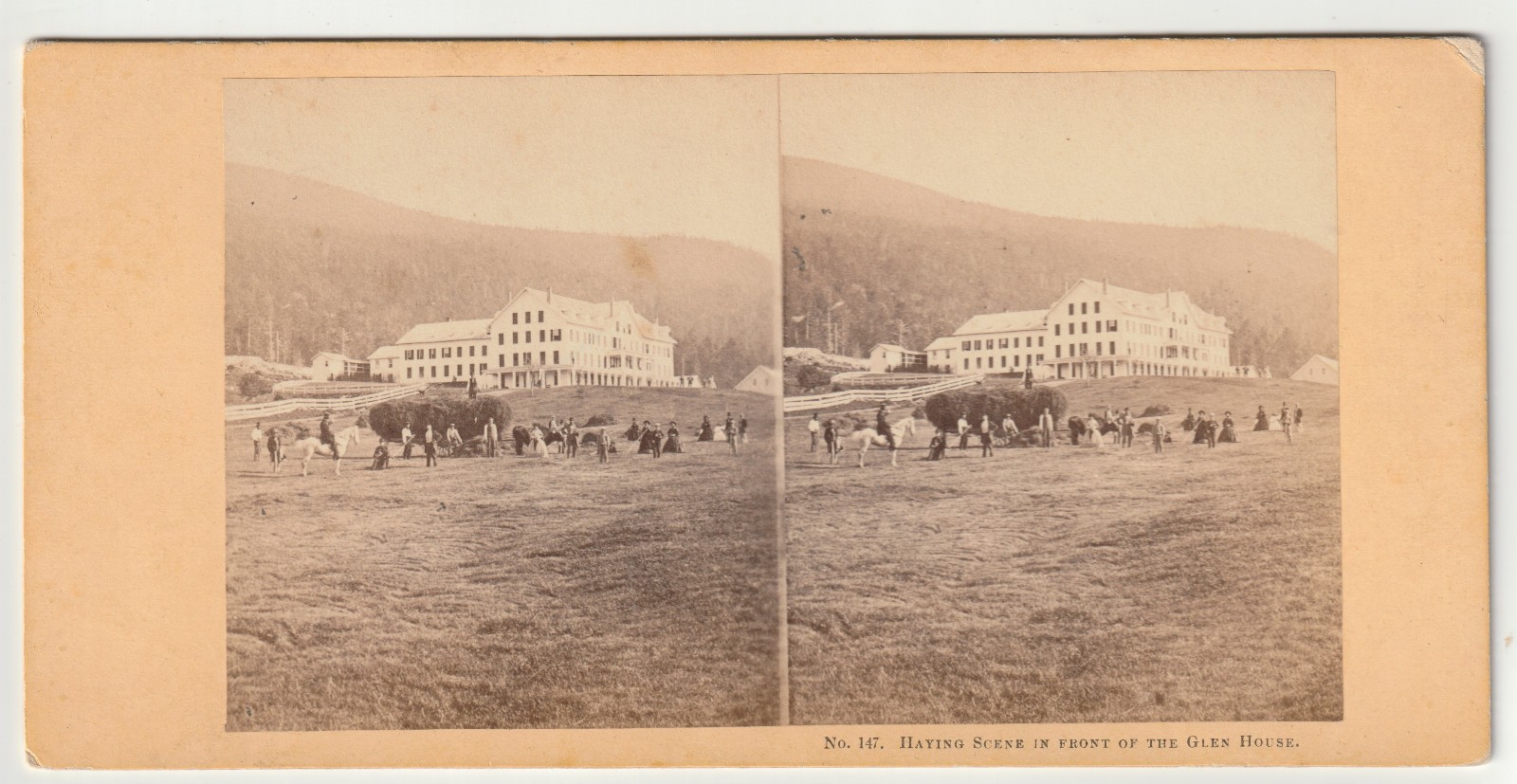 GREAT HAYING SCENE - GLEN HOUSE HOTEL - PEOPLE - WHITE MOUNTAINS  NEW HAMPSHIRE