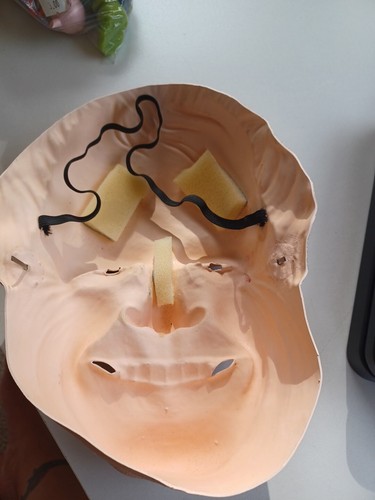 Bernie Sanders 1/2 Mask Vacuform Senator President United States Adult Costume - Picture 2 of 2