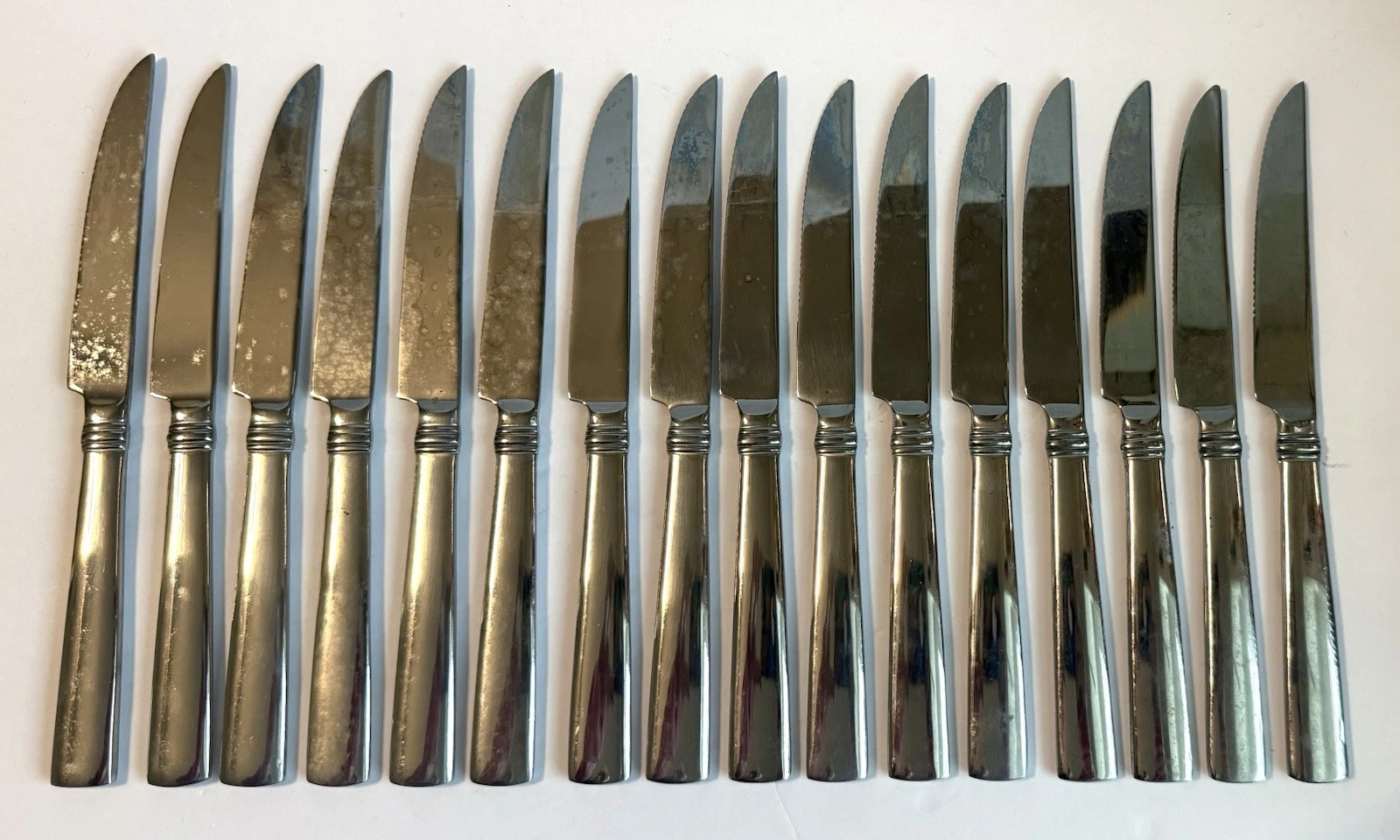 Reed & Barton Heritage Mint 9” Stainless Serrated Steak Knives, Set of 16