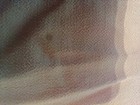 Bild 5 von 8