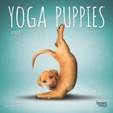 BrownTrout,  Yoga Puppies 2025 Mini Wall Calendar