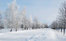 Landscape nature snow trees Custom Gaming Mat Desk