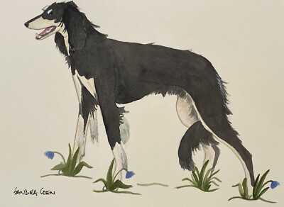 Saluki original watercolors by Sandra Coen Black  Standing in flowers