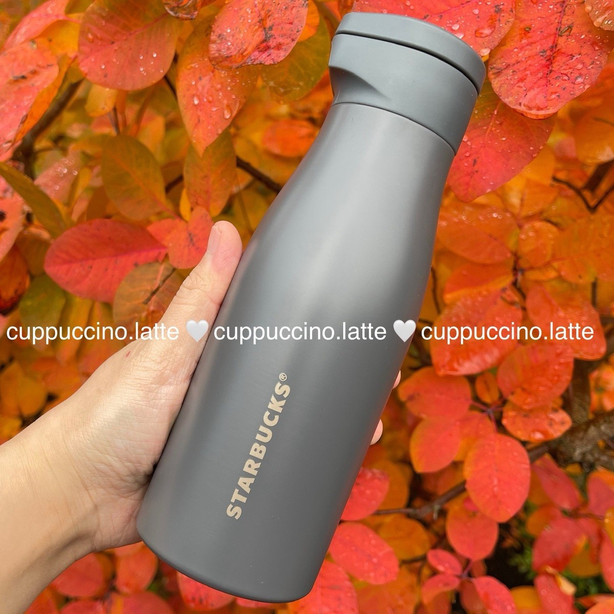 NWT Starbucks x MiiR 2025 Holiday Dark Grey Puppy SS Bottle