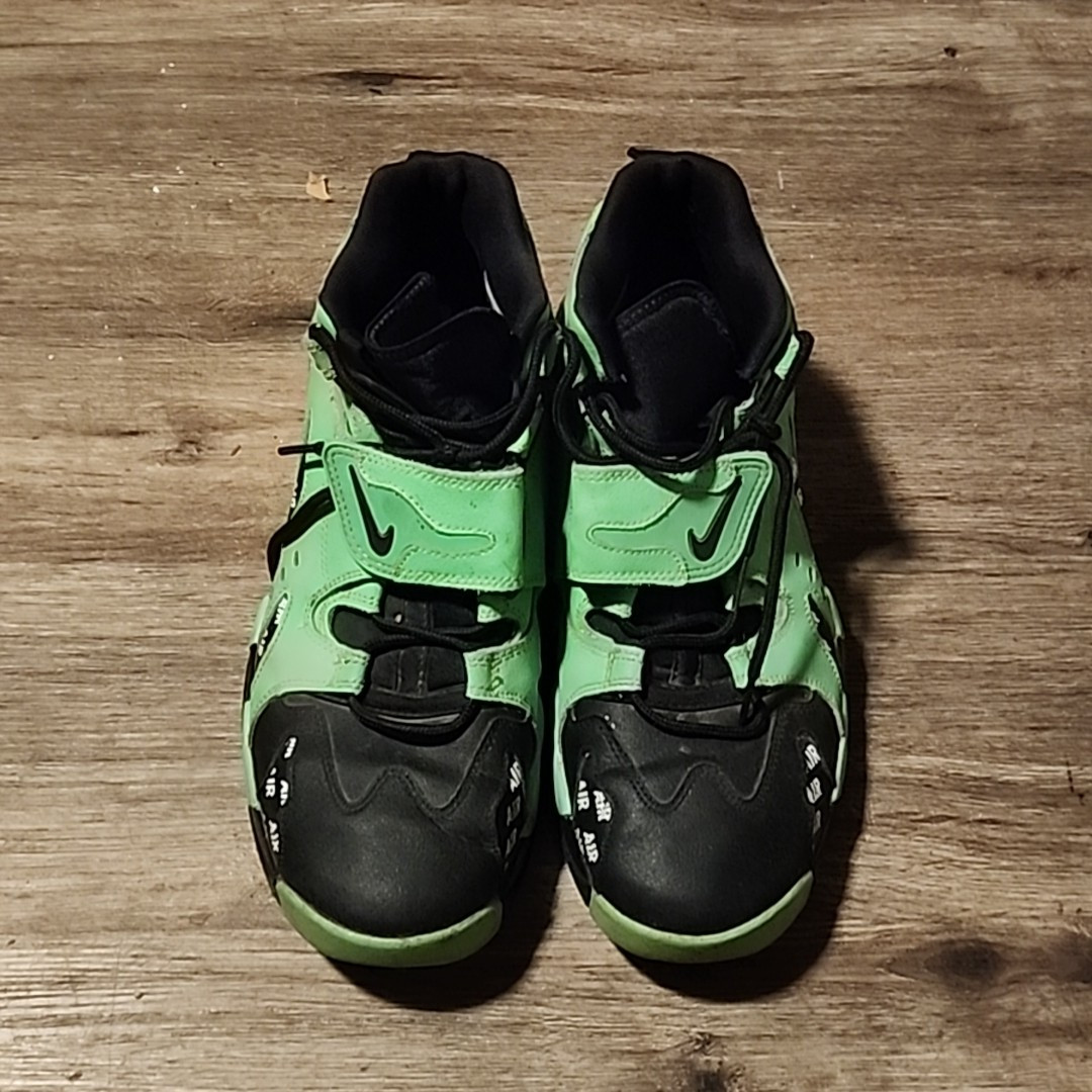 Nike AIR DT MAX 96　スニーカー グリーン×ブラック　大幅値下げ 物欲スニーカー | NIKE AIR DT MAX 96 PREMIUM [BLACK/SNAKE