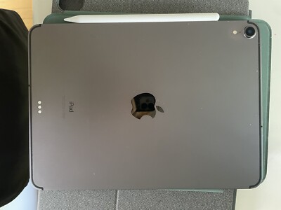 Apple iPad Pro 1st Gen. 64GB, Wi-Fi + 4G (Unlocked), 10.5 in PLUS