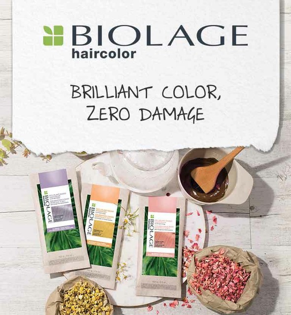 New Matrix Biolage Hair Color Swatch Set & Custom Shades Reference