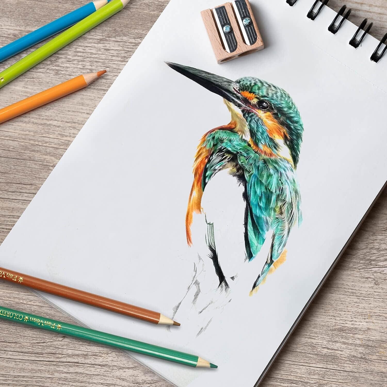 FanVean 50 Count Colored Pencil Set for Toddler/Kid/Teen/Adult-Best Quality Gift