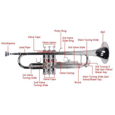 Silver Trumpet Bb Middle/High School Student Pro Marching Band Concert Trumpets