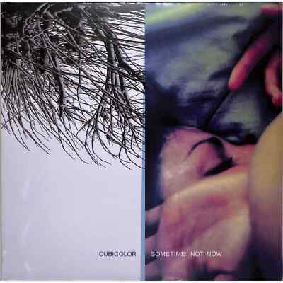 Cubicolor / SOMETIME NOT NOW (2LP) / Anjunadeep / ANJLP121 / 2LP