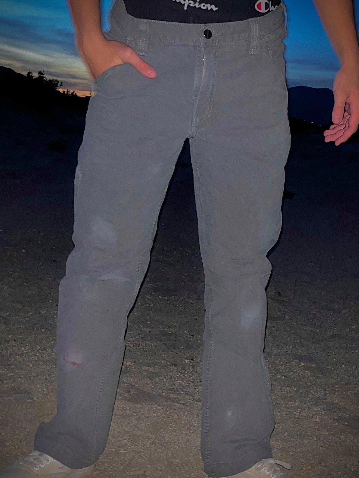 Grey Carhartt Pants eBay