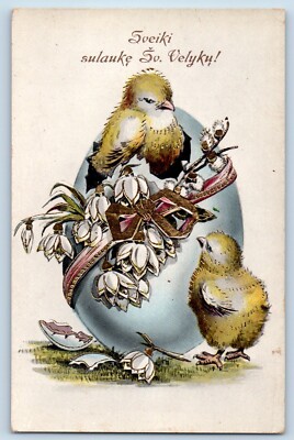 Easter Postcard Hatched Egg Pipe Berry Chicks Gel Gold Gilt Embossed c1910's