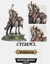 Warhammer Darkoath Chieftain on Warsteed Slaves to Darkness AoS No BOX