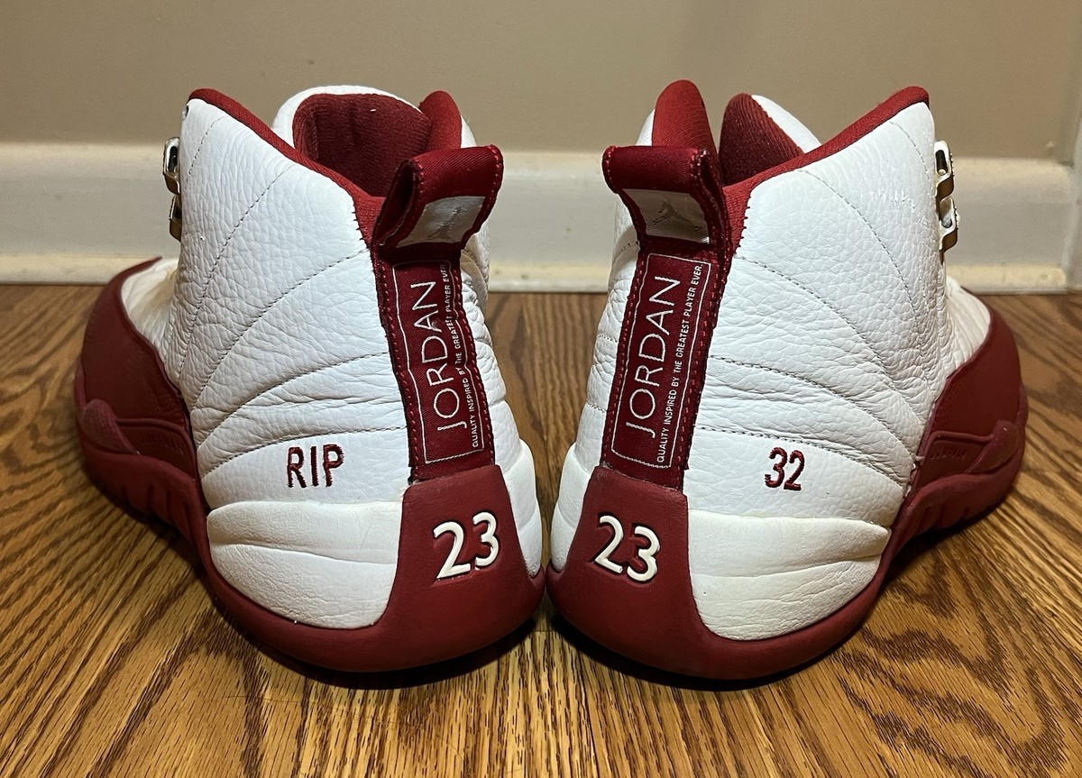 Nike Air Jordan Retro 12 Richard “Rip” Hamilton Cherry PE Player