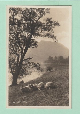 Cumbria Postkarte - Lake District - Rydal Water - ''Early Morning'' - Rp - Unp