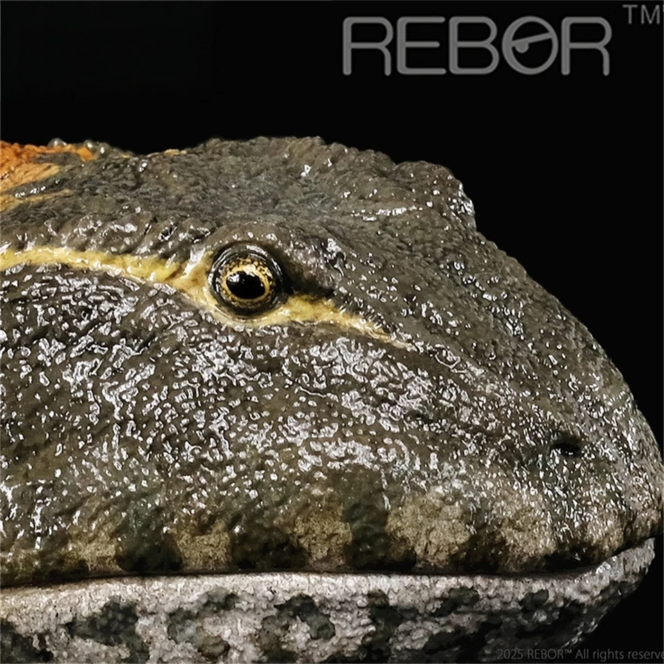 REBOR 1/2 Beelzebufo Action Figures Frog Animal Model Decor Adult Kids Toys Gift - Image 2 of 4