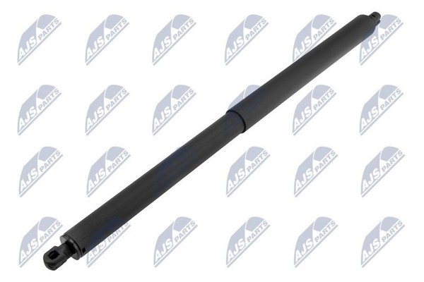 Nty AE-CH-059 Gasfeder, Koffer-/Laderaum Hinten Rechts-image