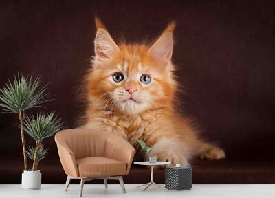 3D Cat Animal Wallpaper Wall Murals Removable Wallpaper