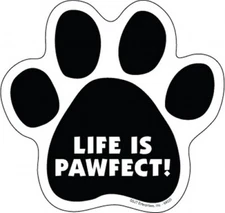 LIFE IS PAWFECT! DOG CAT PAW PRINT Fridge Car Magnet Gift 5"x5" LARGE SIZE NEW
