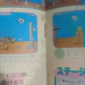 Takahashi's Bug Honey Guidebook Accessory for Famicom  Used Good