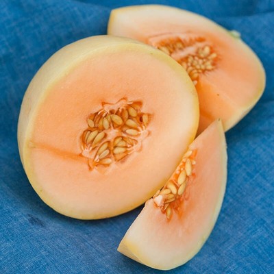 orange melon honeydew harvested flesh gmo seeds organic seller non usa
