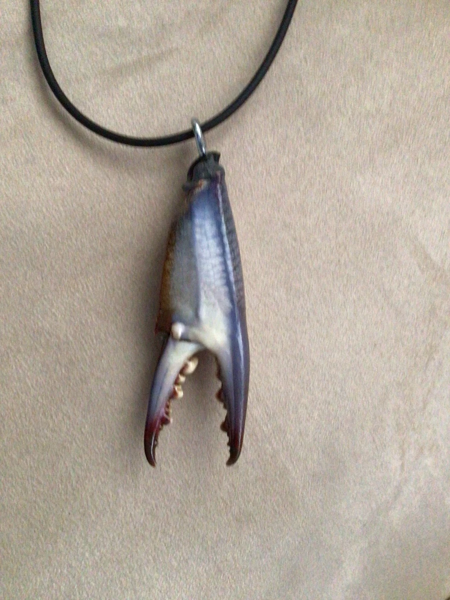 necklace . crab claw – NOON™ DESIGN SHOP