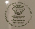 Set 6 Villeroy & Boch Geranium 8" Luncheon Salad Plates  Germany Porcelain EUC — photo 6
