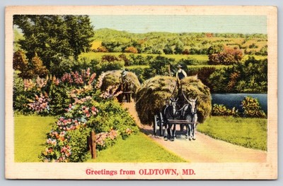 Greetings From Oldtown Maryland~Horse Hay Wagons~Flowers~Linen 1939 Postcard
