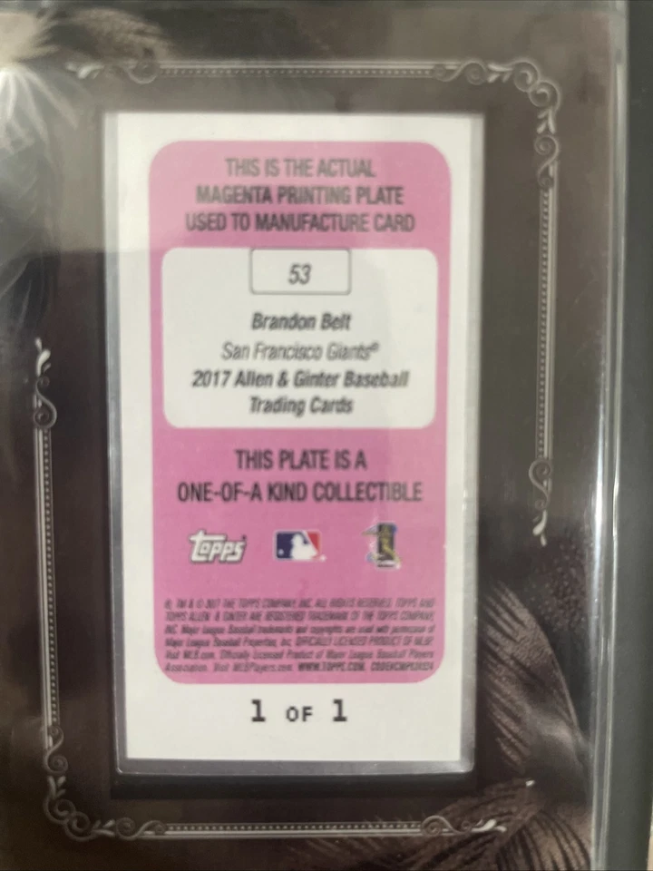 Пояс Брэндона 2017 No53 ограниченный выпуск 1 и только один из когда-либо сделанных! - Изображение 4 из 4