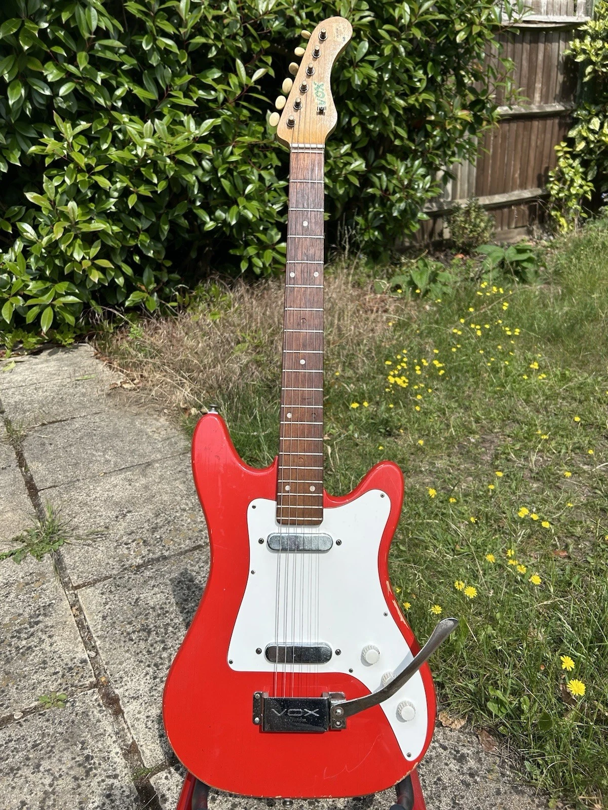 Picture 24 of 24