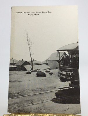 Butte, MT Butte s Original Tree & Railroad Car Vintage Postcard P168