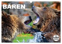 "Calendar 2027 · US Version · Bears (Wall Calendar 2027 17\" × 12\" Landscape), Cal"