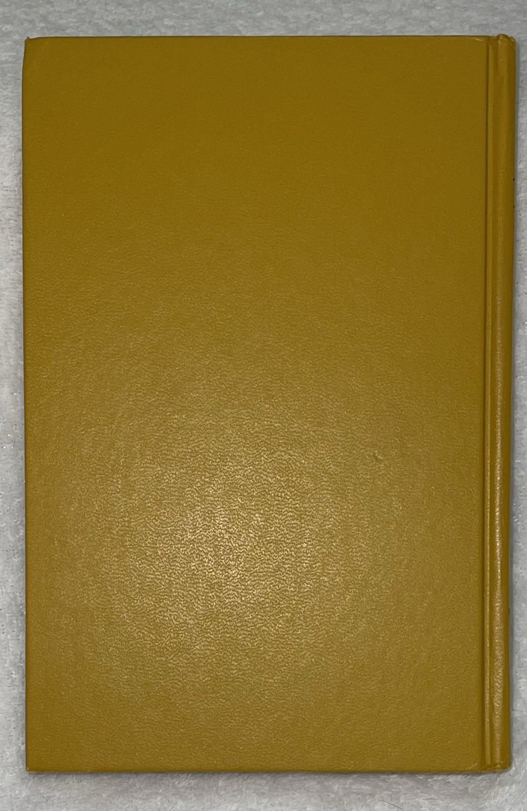 Foto 2 di 4