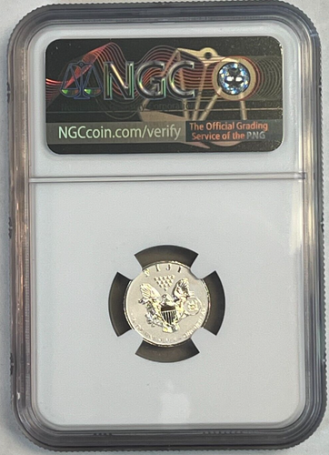 2023 Fiji Type 1 Fractional Silver Eagle 4 Coin Reverse Proof Set NGC PF70 ER - Picture 4 of 10