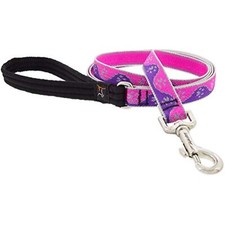 Lupine Reflective Dog Leash 6-Foot by 3/4" Wide Pink Paws