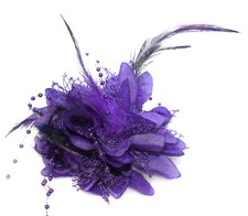 Flower Feather Bead Corsage Hair Clips Fascinator Hairband and Pin