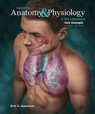 Exploring Anatomy & Physiology Laboratory: Core Concepts by Erin C. Amerman