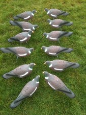 Garden Pest Pigeon Decoy 12pc Set Deterrent Half Shell Shooting Target Outdoor