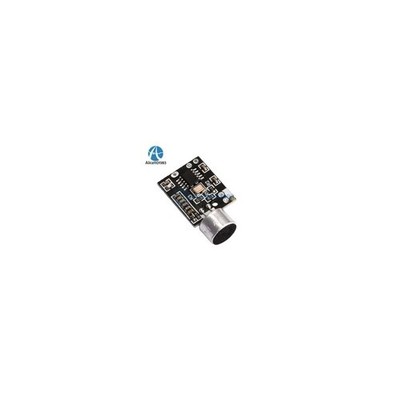   Microphone MIC FM 10dBm   module support Dual-channel Stereo #wd