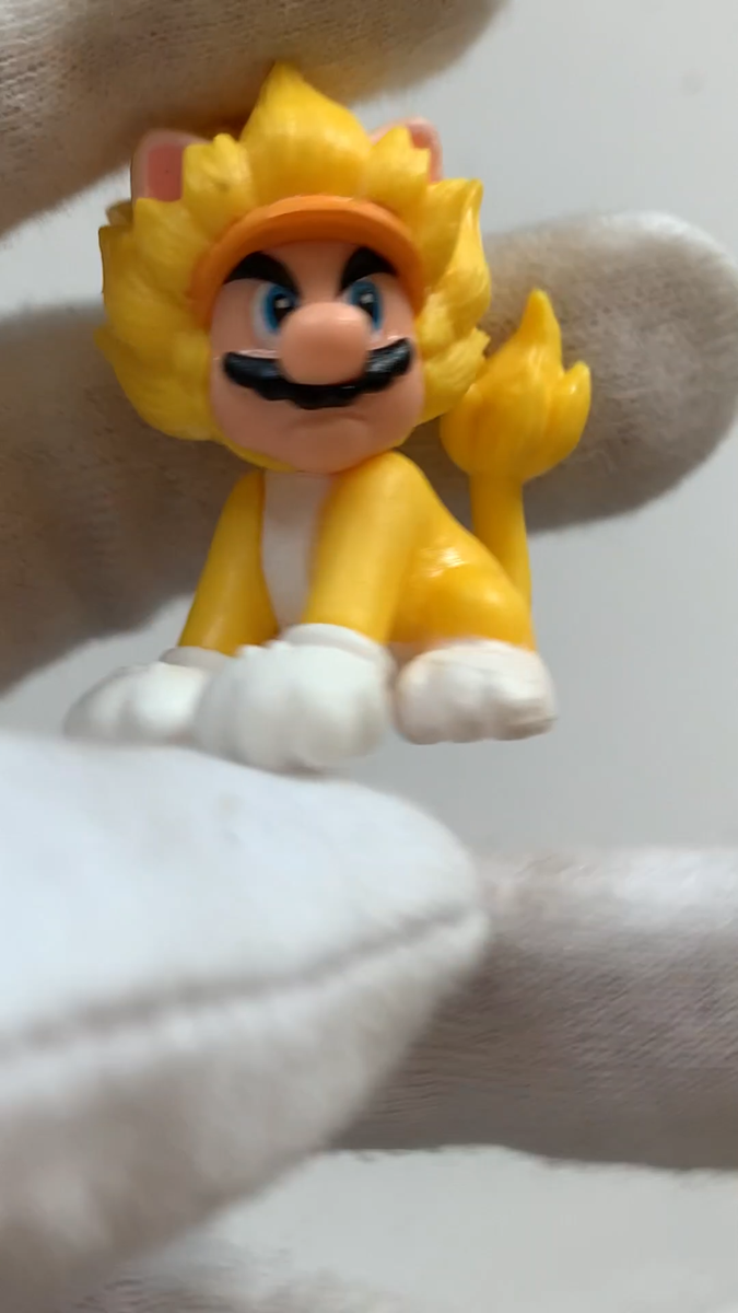 Super Mario 3D World Fury 2