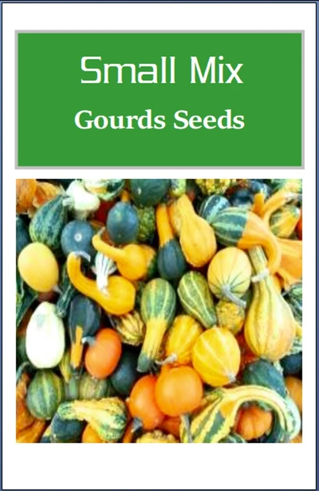 Semillas de calabaza pequeña mezcla | NO TRANSGÉNICAS | Reliquia | Semillas frescas de jardín Foto 2 de 2