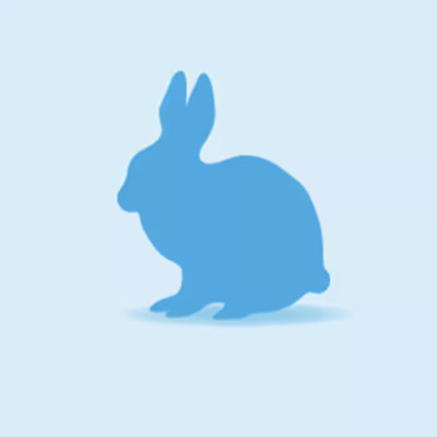 Frozen Rabbit, Small, 500g - Suitable for Pythons and Anacondas | eBay UK