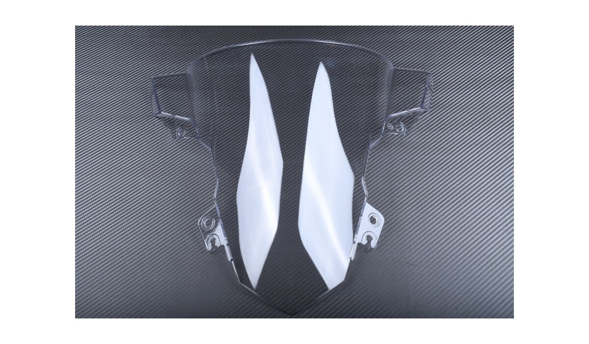 Bulle transparente BMW S1000RR pour la protection du pilote sur circuit et route