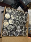 2026 P Semiquincentennial Half Dollar Coin Liberty Head 10 ROLLS