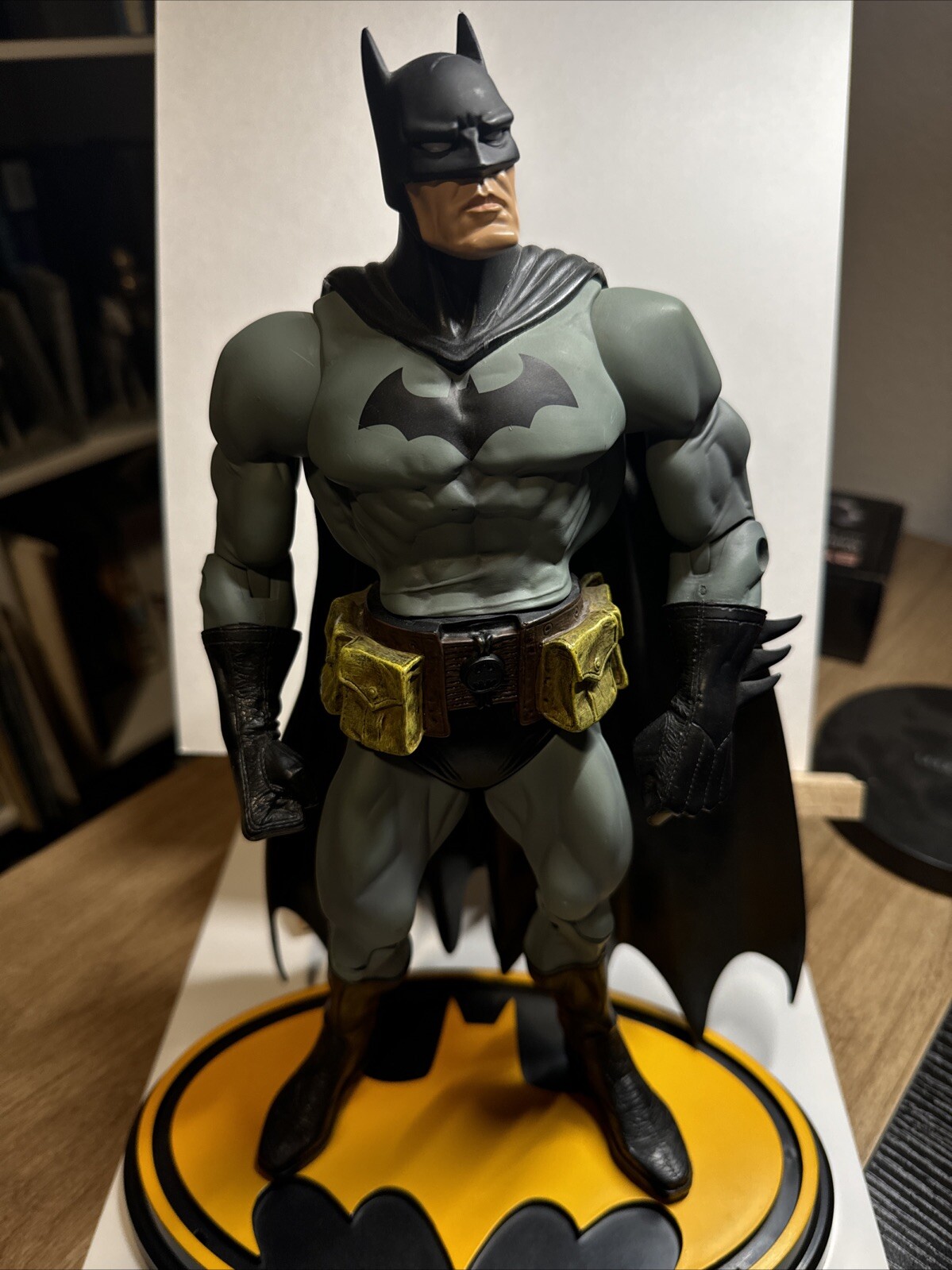 Batman DC Super Heroes Special 12 Inch Edition Toys R Us Exclusive Action Figure