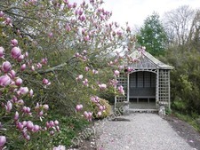 Photo 6x4 Pagoda-style gazebo, at Sand Cotford  c2010